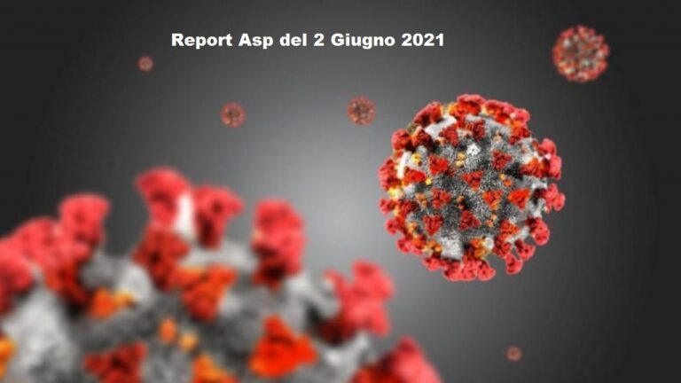 report asp 02-06