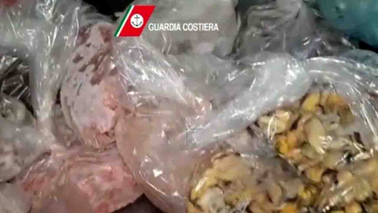sequestro pesce guardia costiera-2