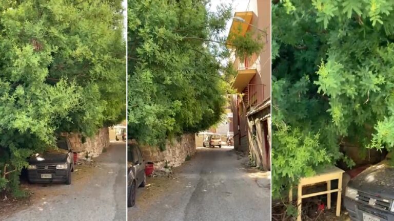 via consiglio 1