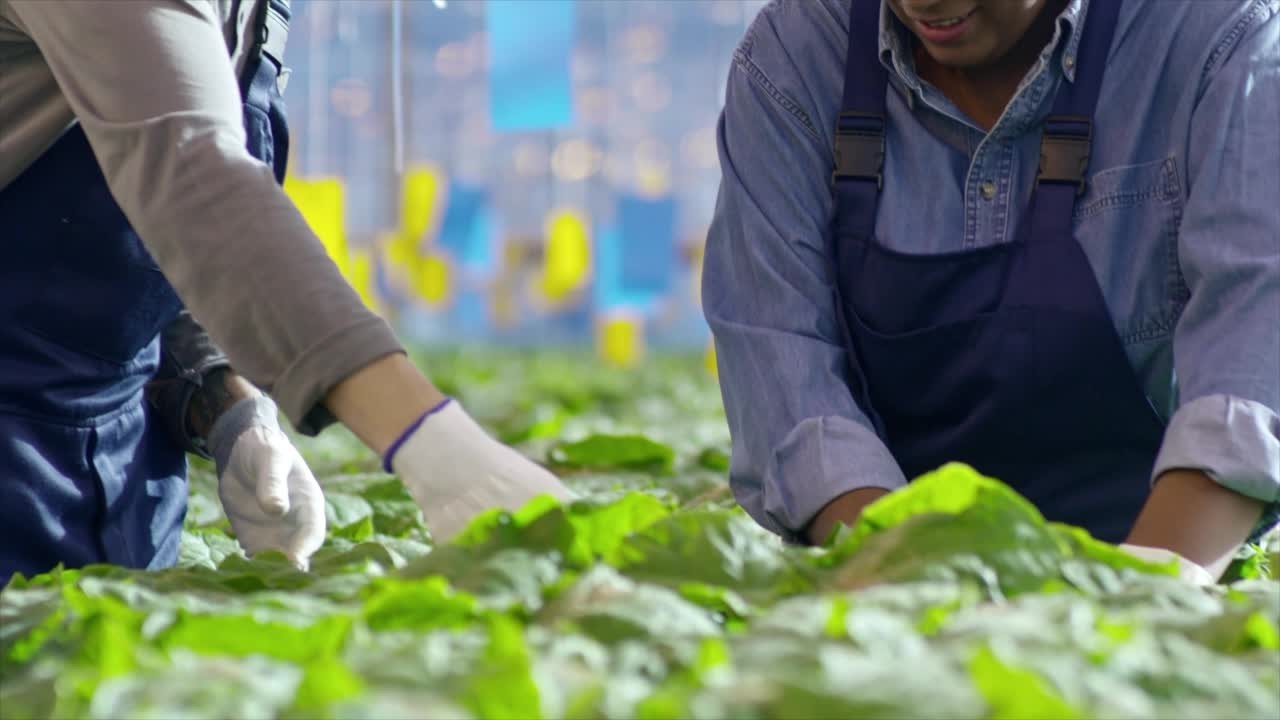 2xp79vd1ezkm07obn8aokl53