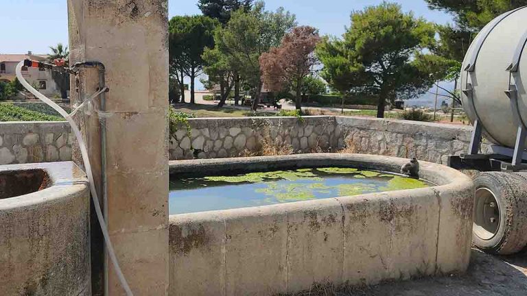 Furbetti acqua 2