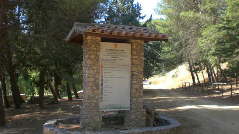 Monte cavallo bosco 5