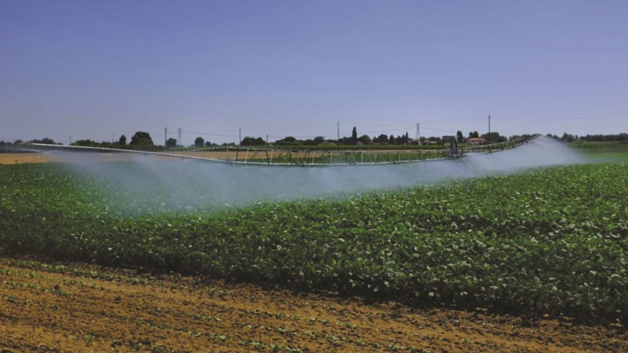 campagna irrigazione