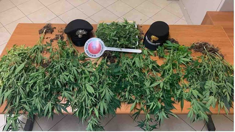 carabinieri droga favara