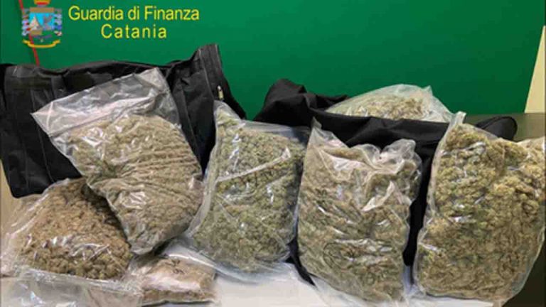 droga guardia finanza