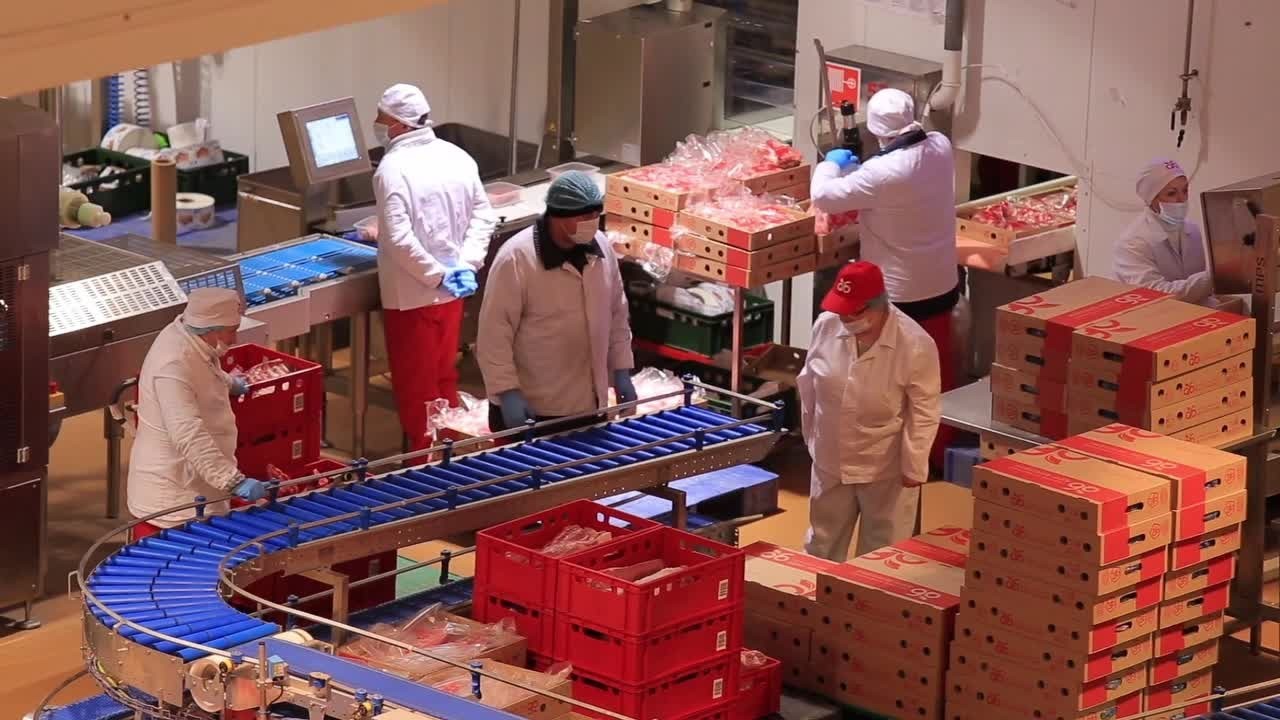 ek6075p1ab7lxrmylm8dojvr