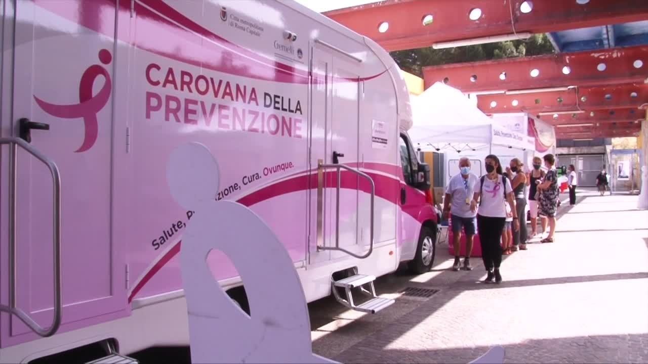 jopx462adz9xp5kz5n3v019m