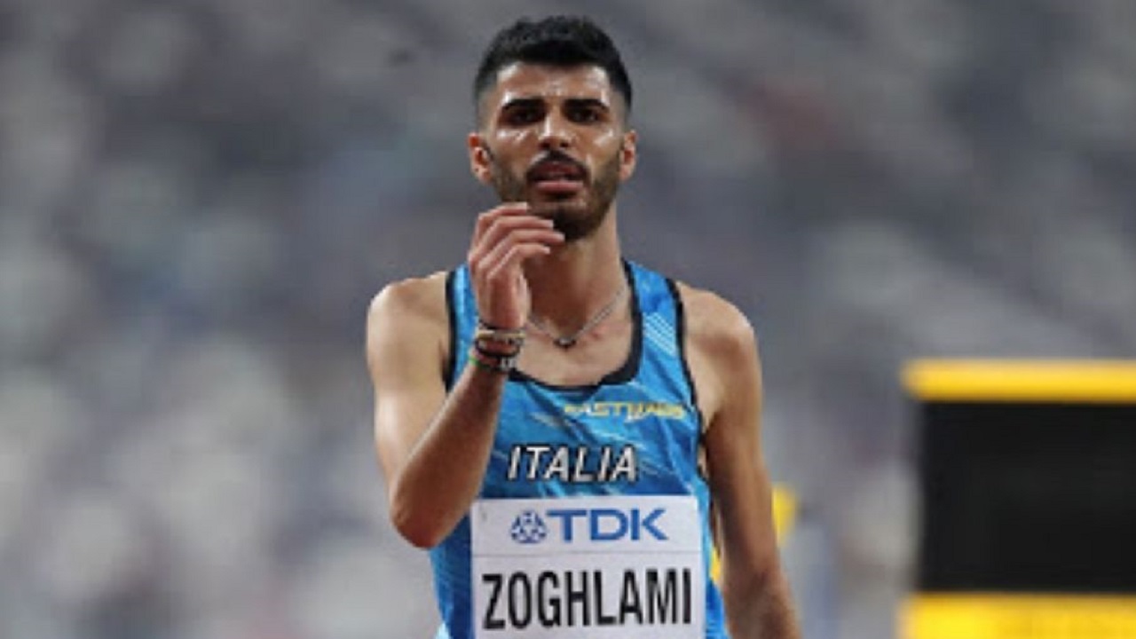 osama zoghlami