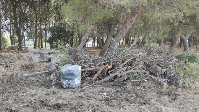 sacco rifiuti pineta san calogero 2021