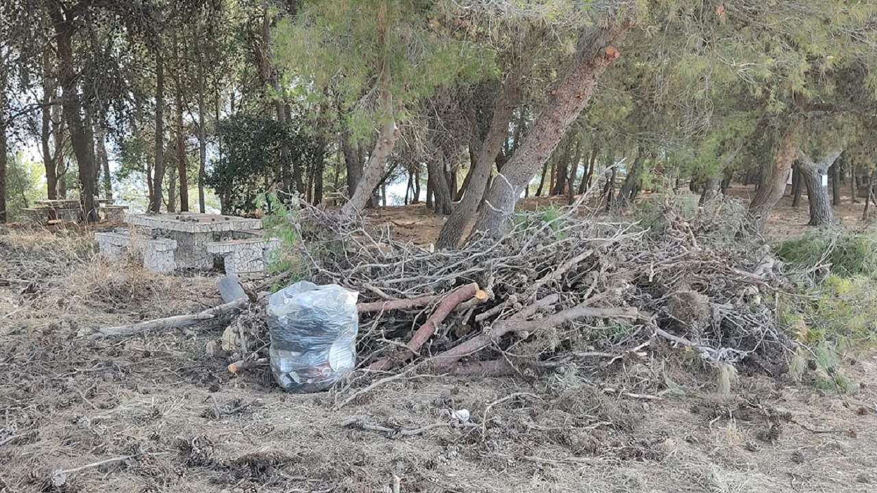 sacco rifiuti pineta san calogero 2021