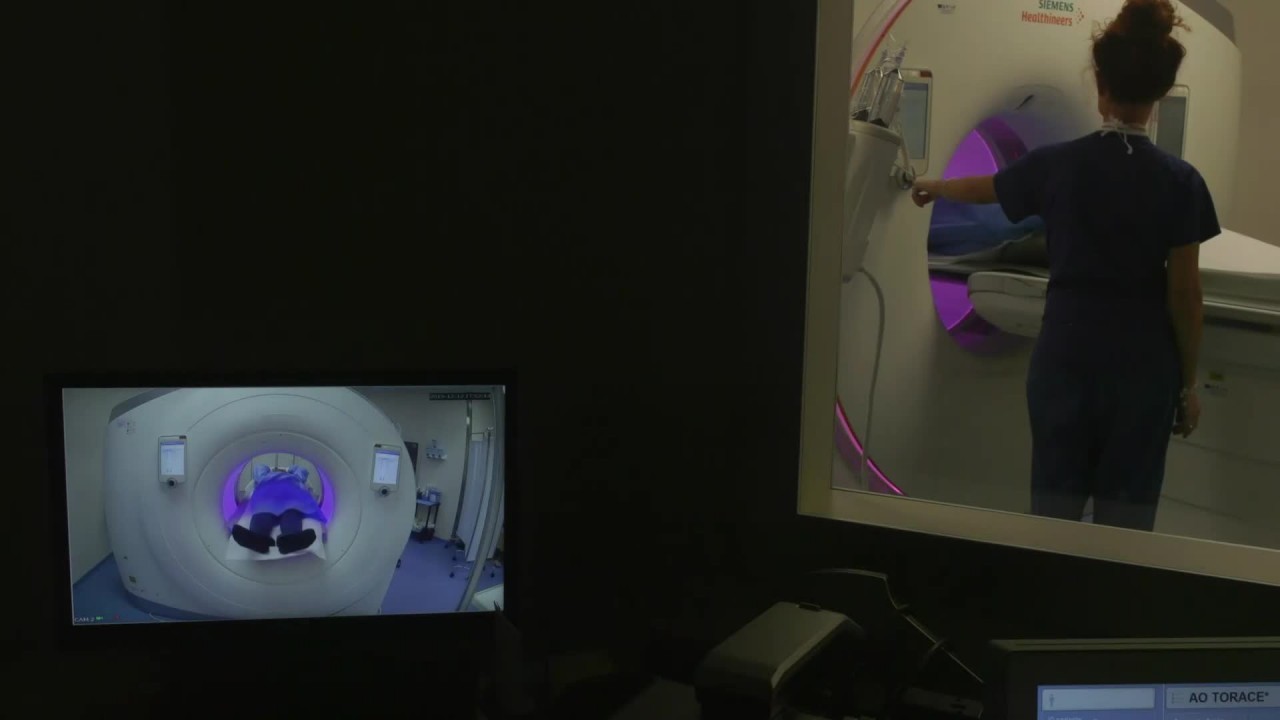 x6e21a590z1e121ylogm7jkp