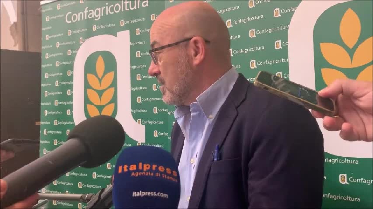 xlgrpa9n0zerm1vy4vm28d13