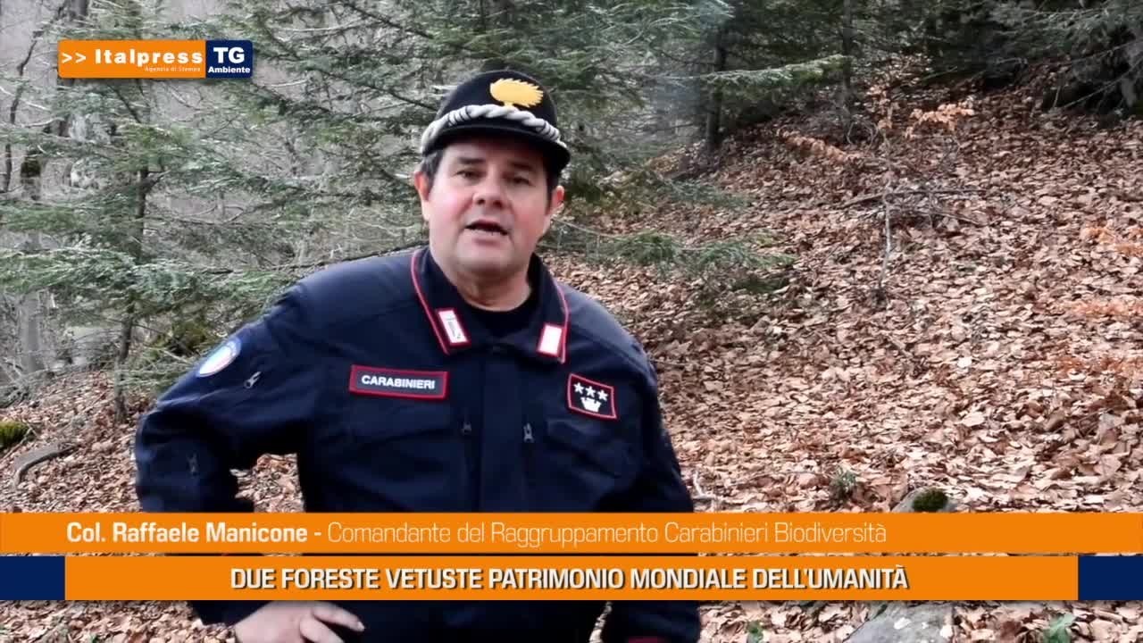 1gkj4v26ez6r9x7znomxr9ad