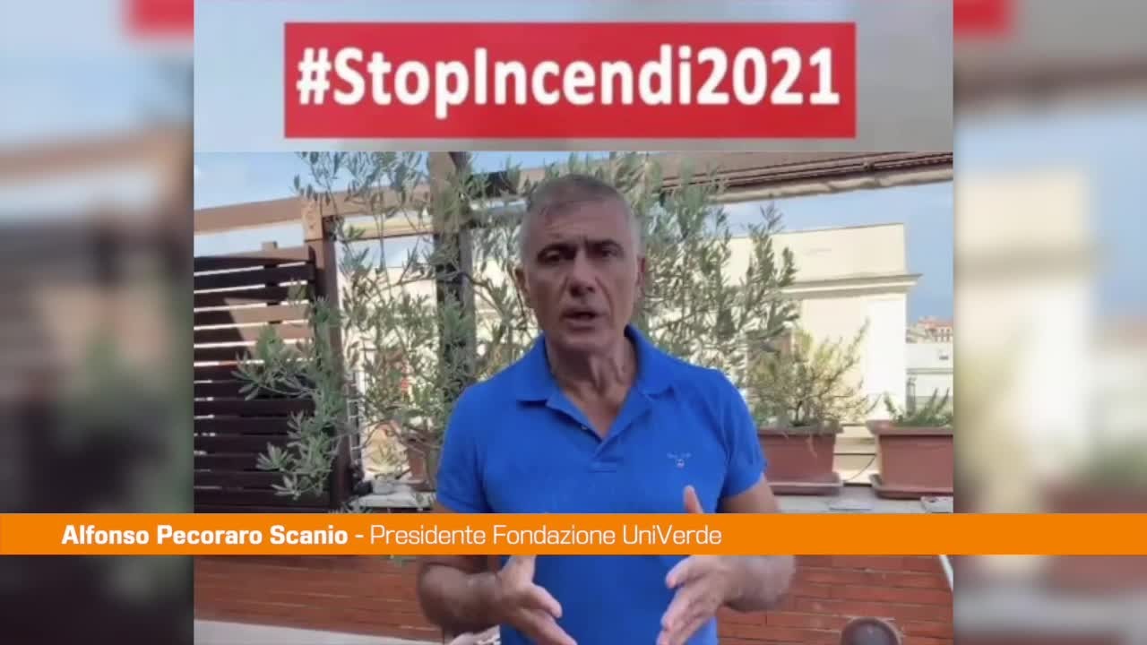 2xp79vd1ezkm7axbn8aokl53