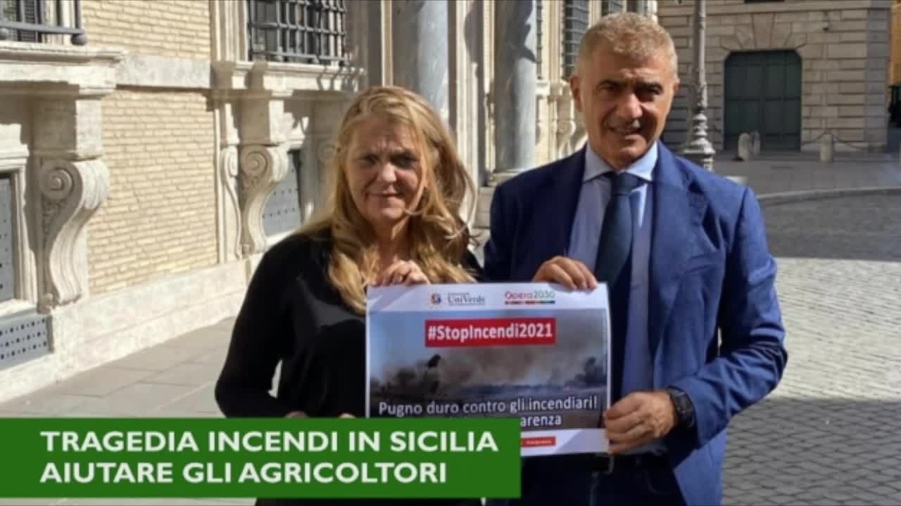 6p9o4r8xvzmoxv3bdm1jlg0a