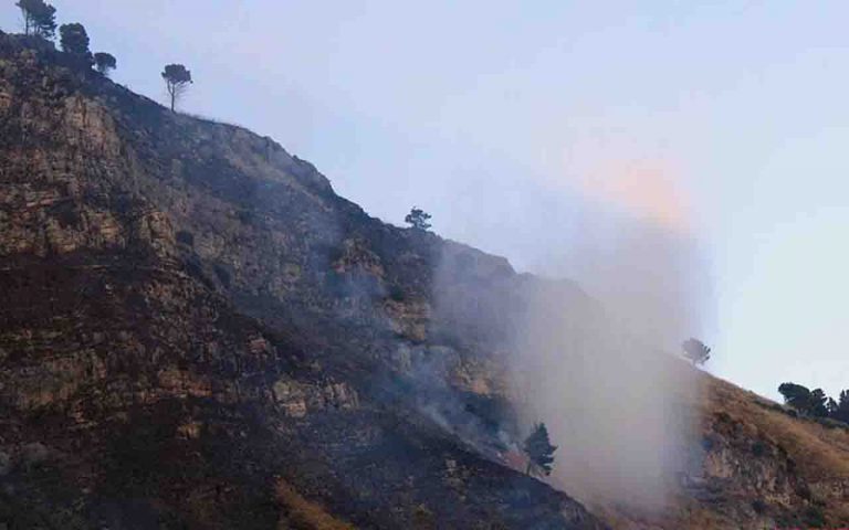 Bosco in fiamme, sette mezzi aerei in volo