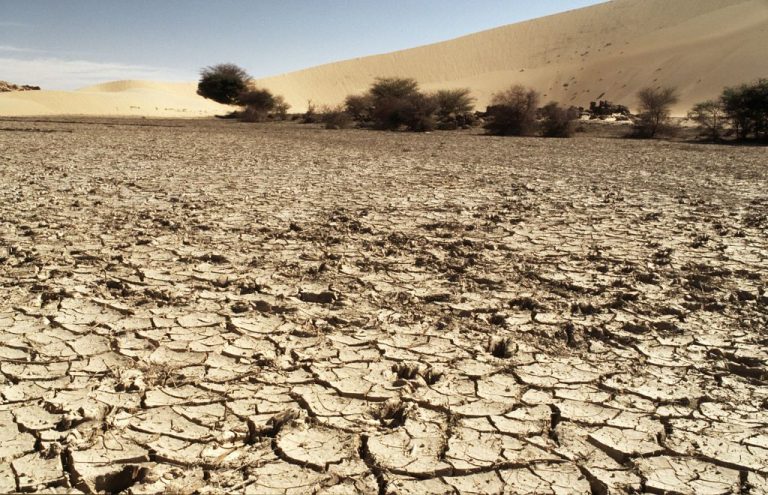 Clima