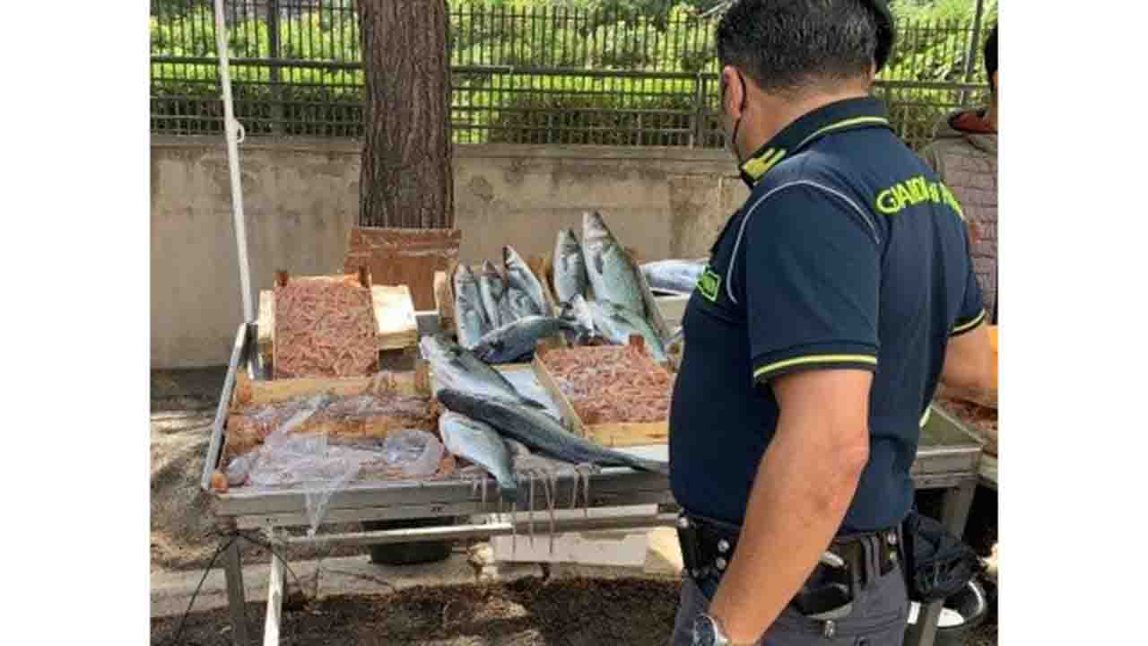 Guardia Finanza sequestro pesce non tracciabile