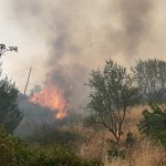 Muore soffocato dai fumi mentre tenta di spegnere un incendio