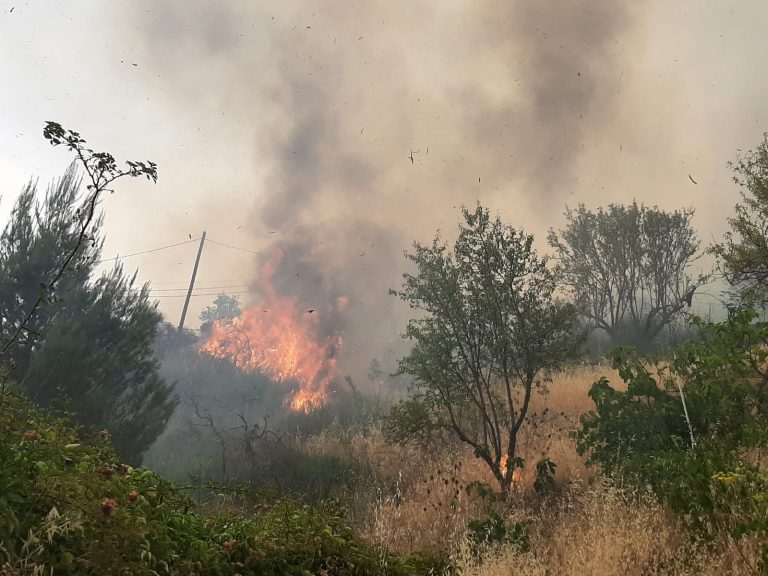 Petralia Soprana incendio volontari Sciacca 2