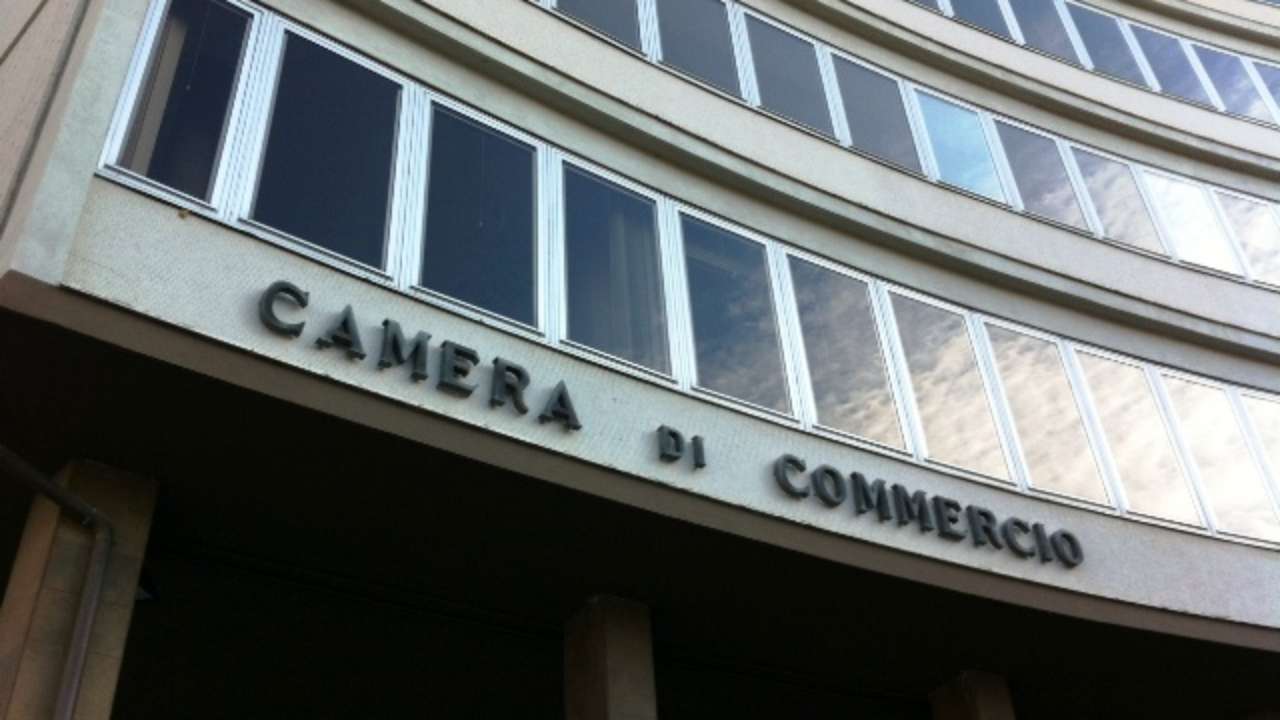 camera commercio