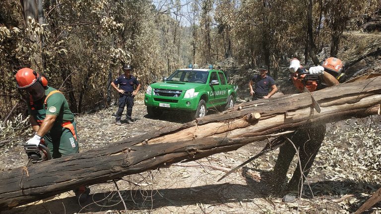 carabinieri forestali in azione