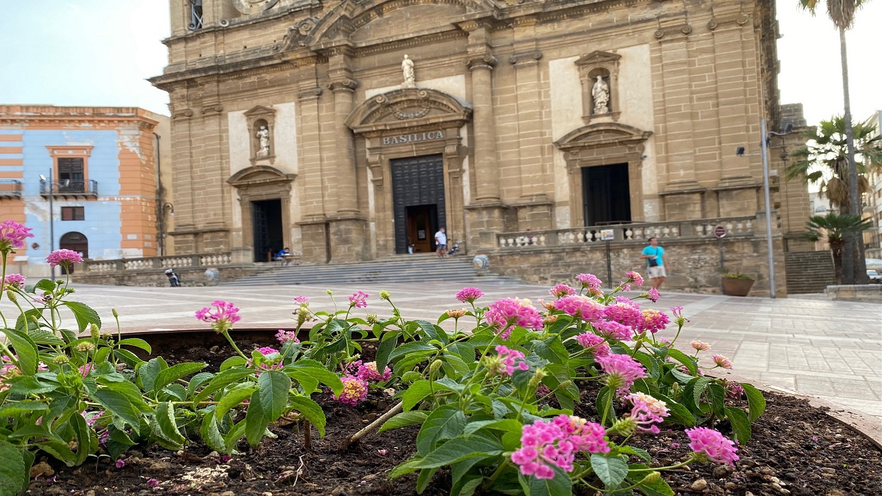 fiori piante piazza duomo 2021