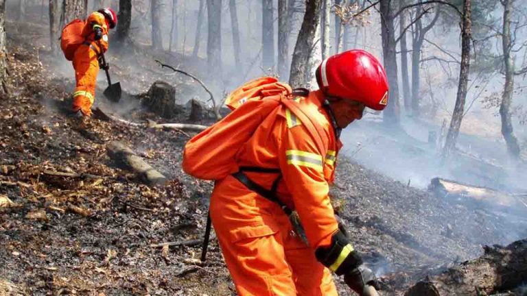 incendi boschi protezione civile