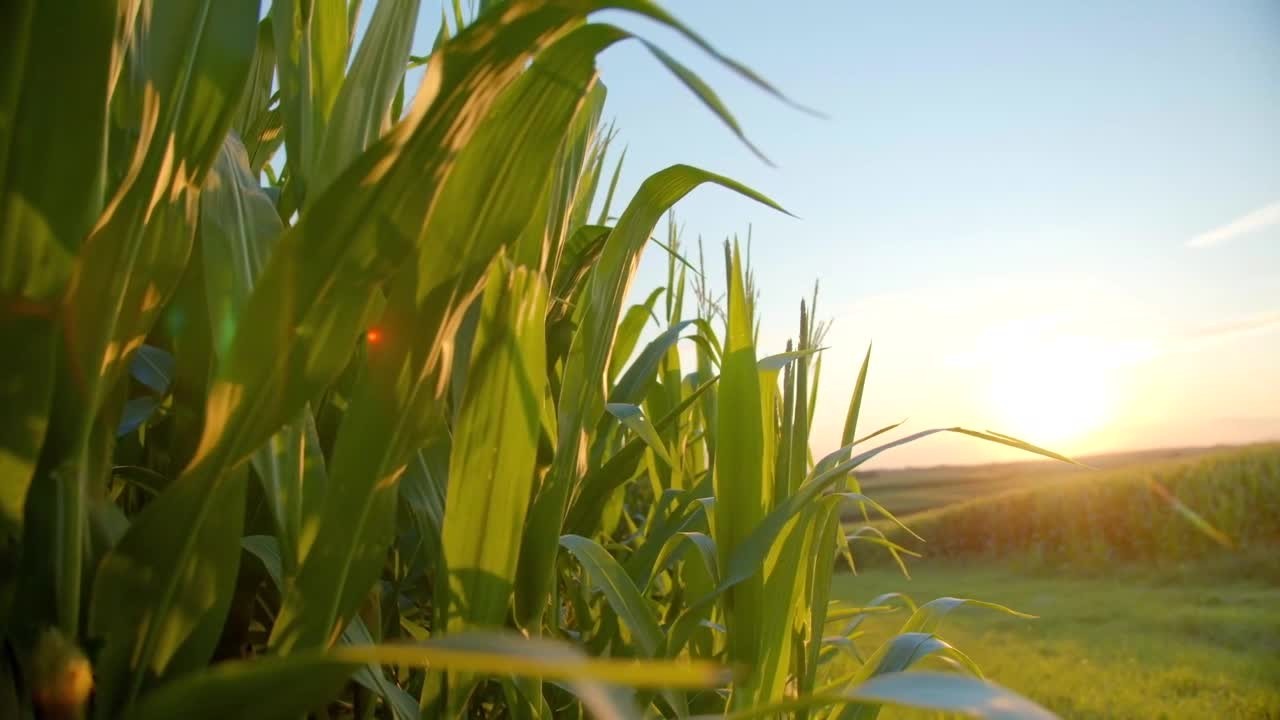 jopx462adz9xvadz5n3v019m