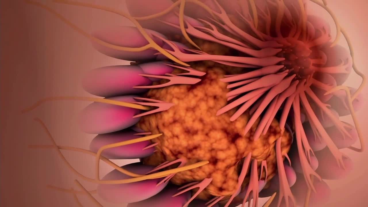 n7exo3pmvy2gmrnzd460r2j9