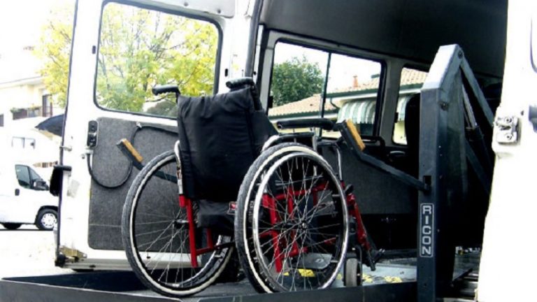pulmino disabili