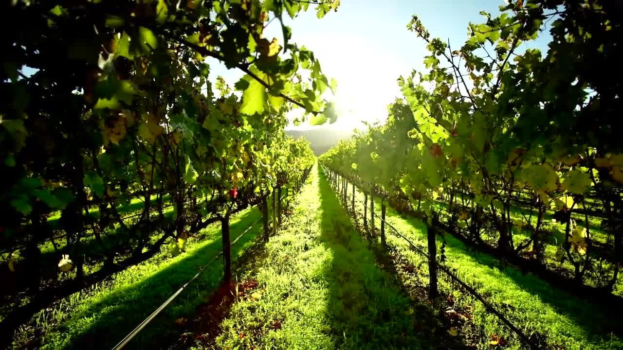 r6x05p39kzgrd4ebdmj7voga