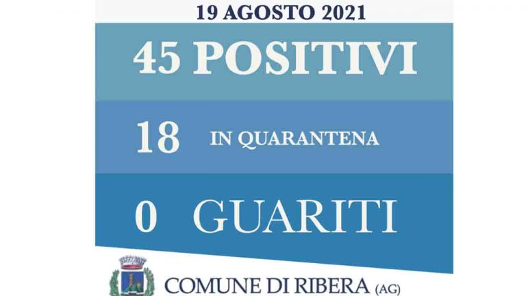 reportcovid (1)