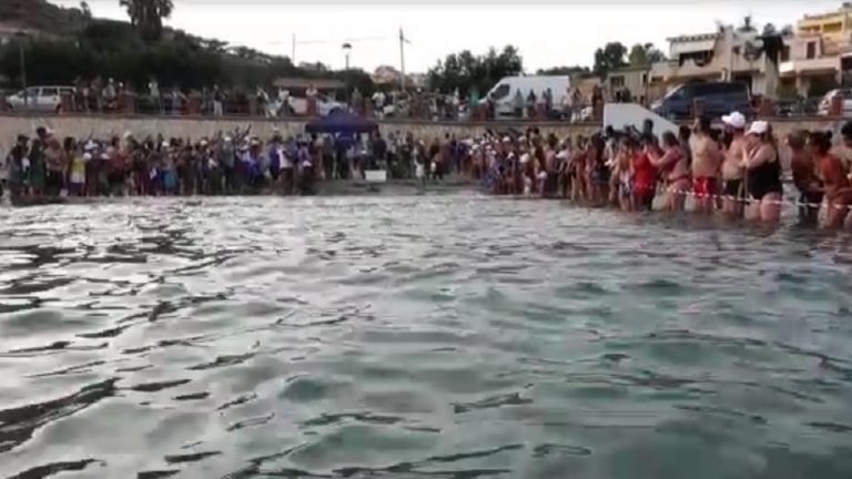 tartarughe renella 2021