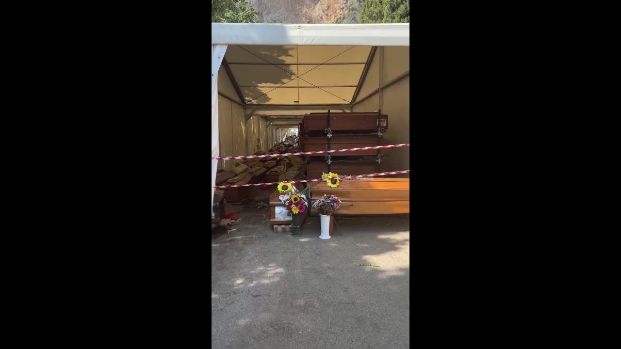 x6e21a590z1emnaylogm7jkp