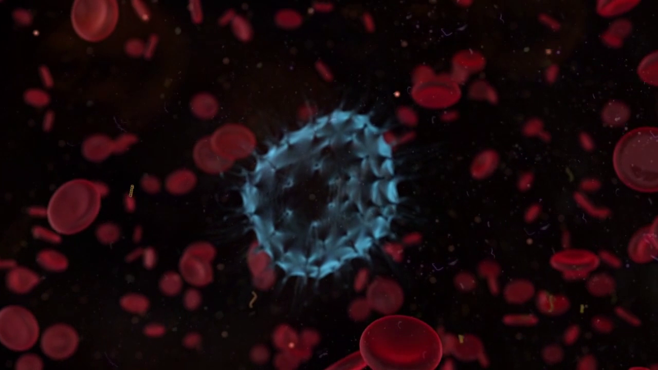 0a143c49d0abe294698561dff33a58a11ede7918