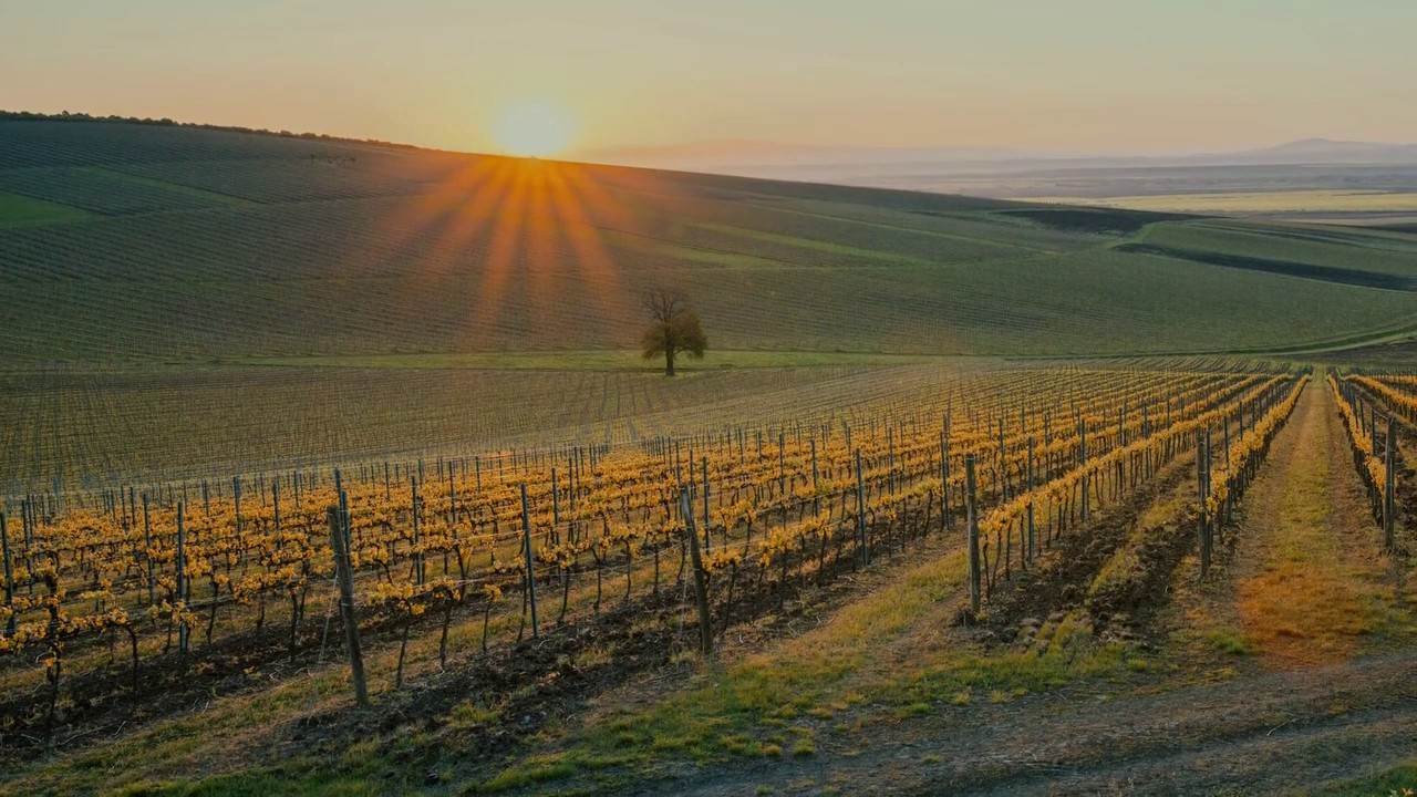 265a3a91bc1323ec591a24f8d4751dce2e9a20c2