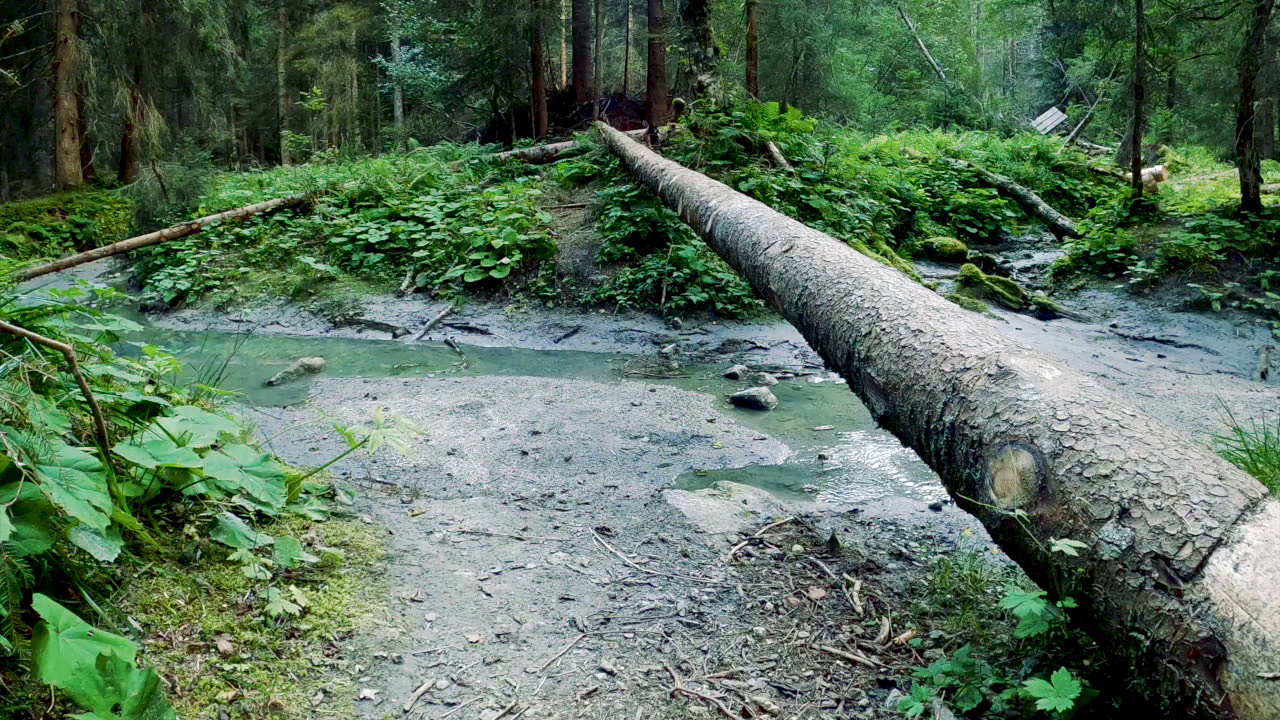 6d880cc75ff297c17384c4710b0db34d7a7a7433