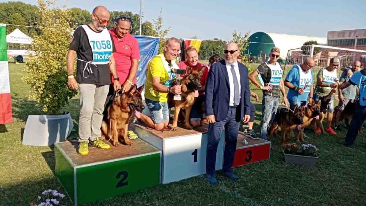 Campionato italiano di bellezza del Pastore Tedesco, secondo posto per il saccense Enzo Saladino con il suo Re Kokakos