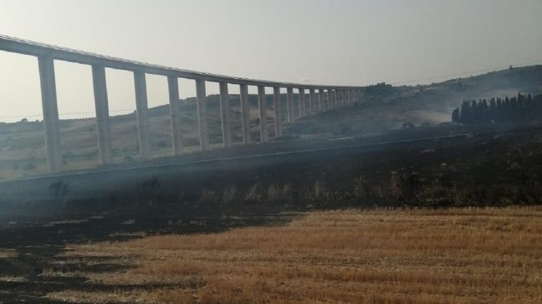 INCENDIO SOTTO PONTE CARBOJ 2021
