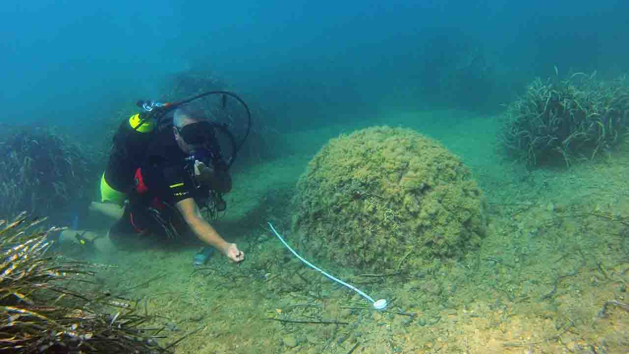 Mina navale Seccagrande