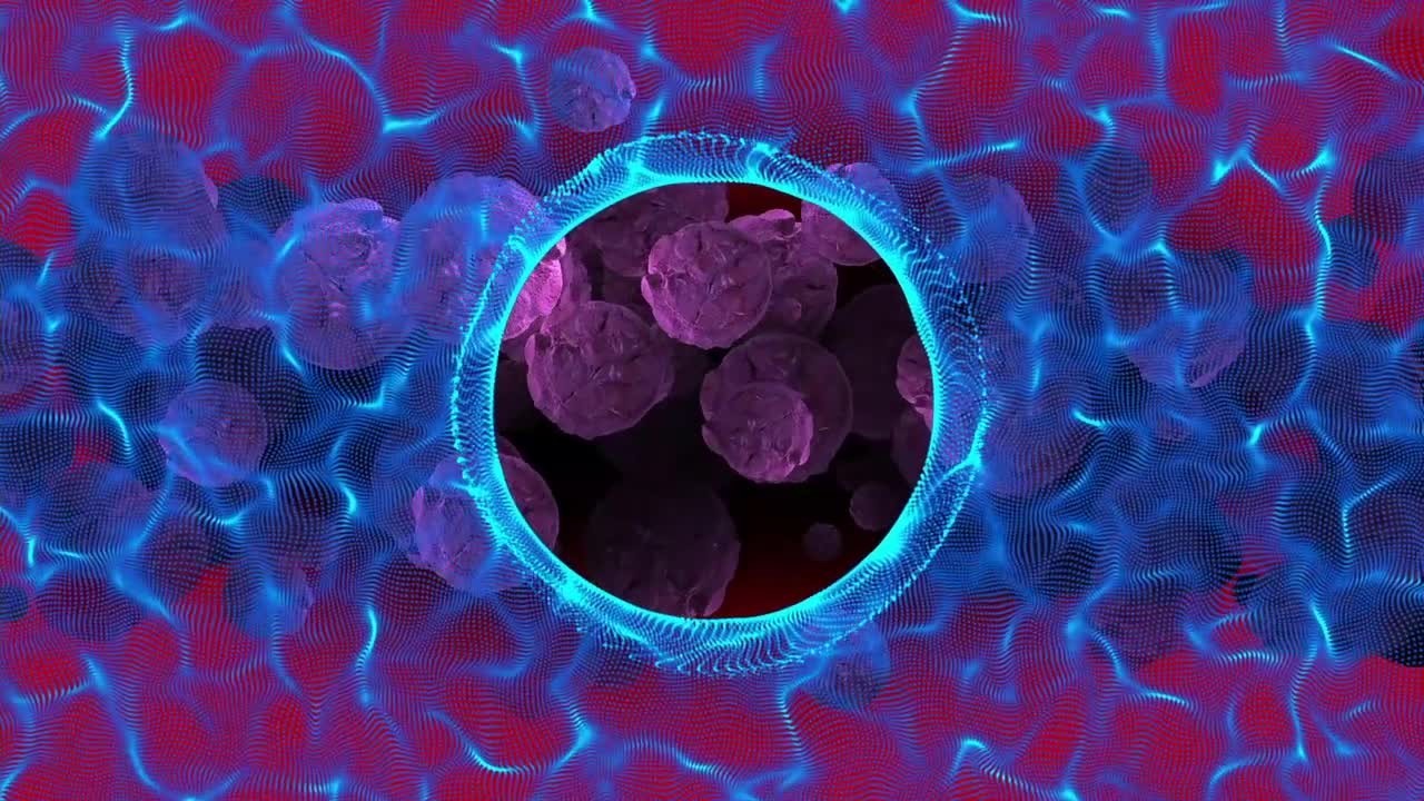 a0jr2m58pbv1g56bo17xvlg9