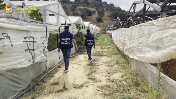 Danneggiato un uliveto in contrada Nadore. Indagini dei carabinieri