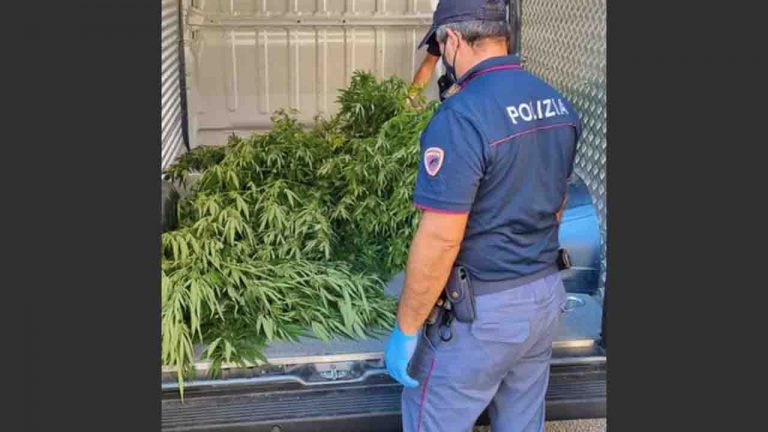 droga polizia 1280x720