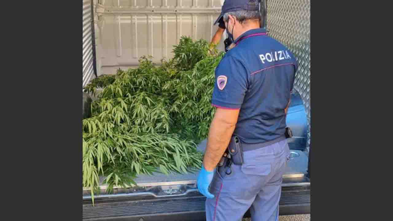 droga polizia 1280x720