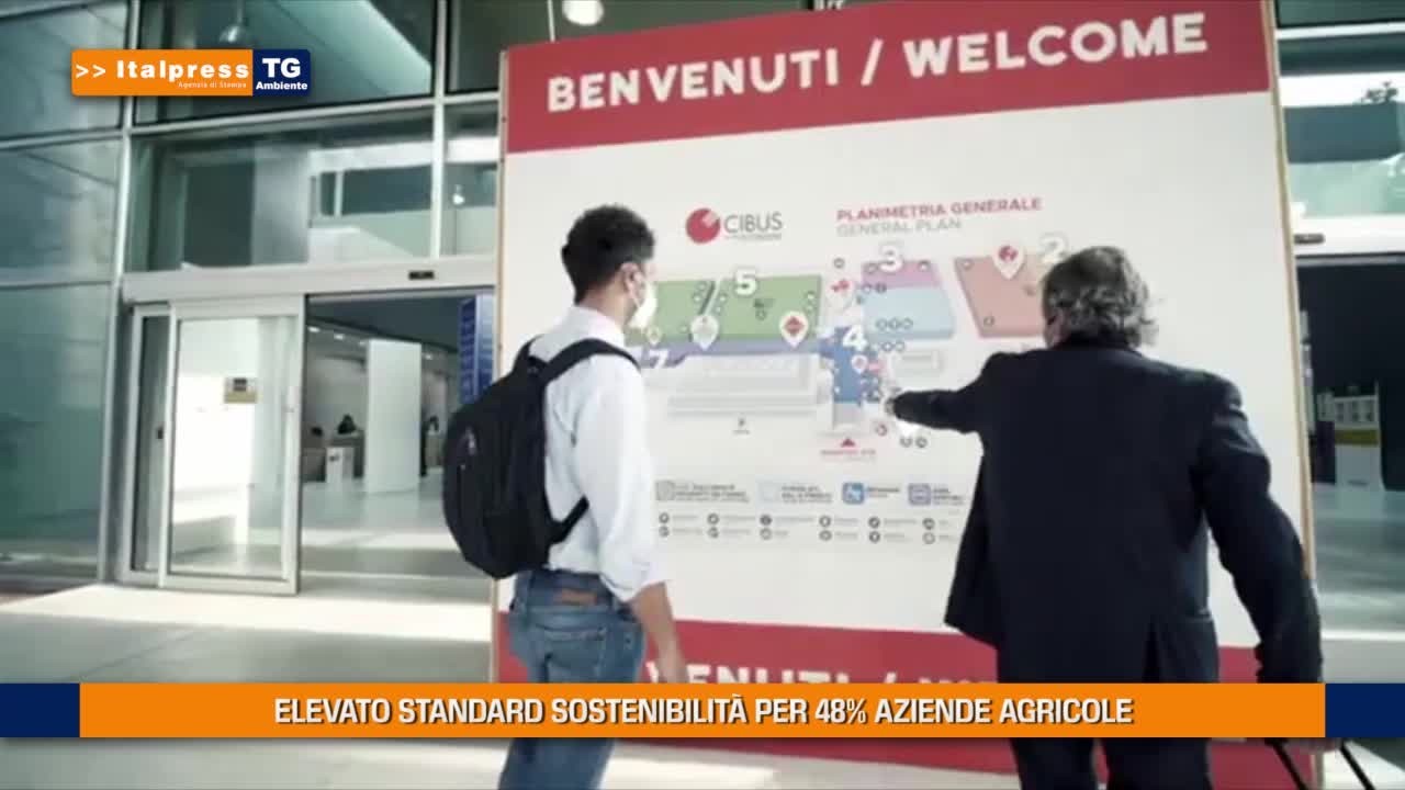 n0j9514o6znnd5kz2vdprx3m