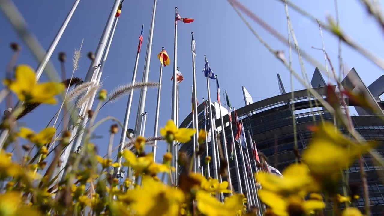 n7exo3pmvy2g77jzd460r2j9