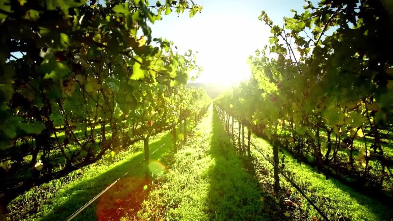 n7exo3pmvy2g7g4zd460r2j9