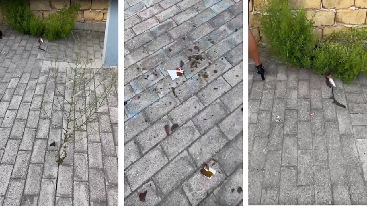 sporcizia scuola catusi