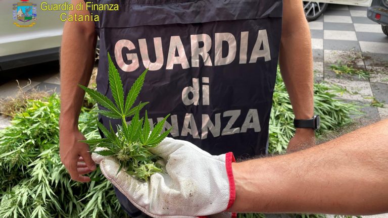Droga Guardia Finanza